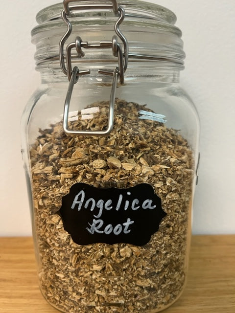Angelica Root