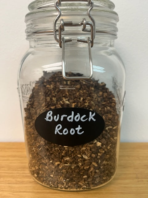 Burdock Root