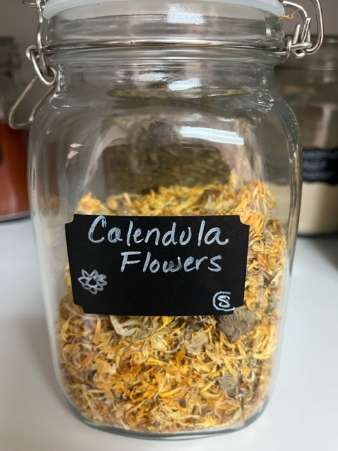 Calendula Flowers