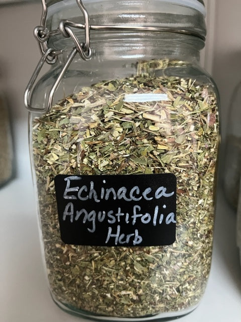 Echinacea Purpurea Herb