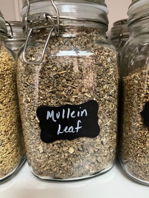 Mullein Leaf