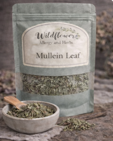 Mullein Leaf