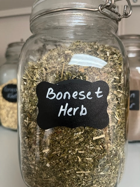 Boneset Herb