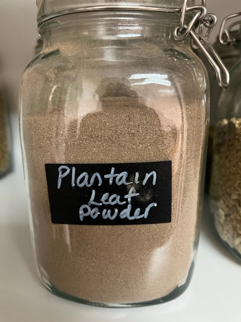 Plantain Leaf Powder