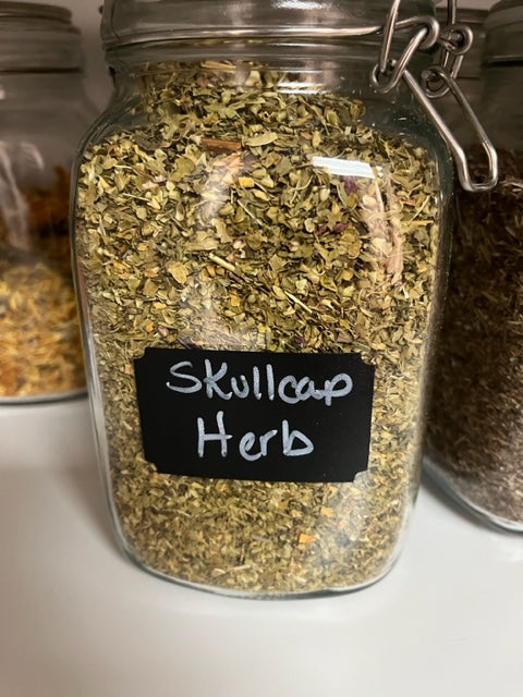 Skullcap Herb