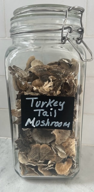 Turkey Tail Mushroom